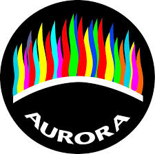 Aurora Disability Services